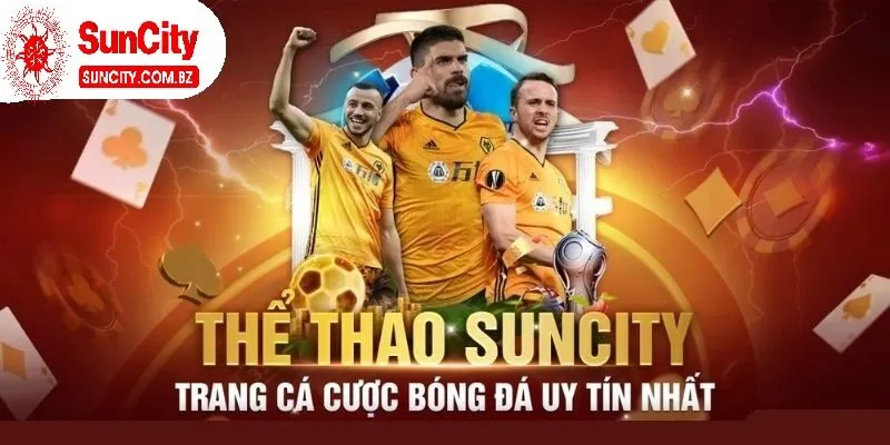 Cá cược thể thao suncity